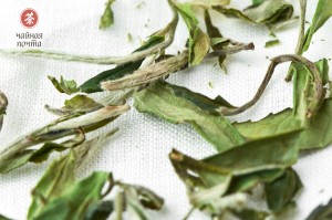 Бай Му Дань Ван (Белый Пион Высокого уровня) "ААА", Весна 2023 г. купить в Минске, Белый чай