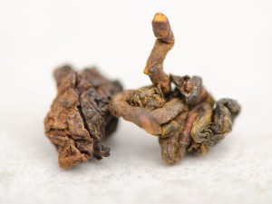 ГАБА Гуй Фэй "ААА", Таиланд купить в Минске, ГАБА