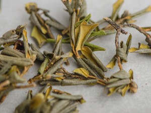 Саган-дайля (Сайган Дайля, Белое Крыло Шамана) "АА", 2025 г. купить в Минске, Для иммунитета