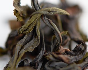 Ци Лань "АА" (Чудесная Орхидея) купить в Минске, Уишаньский