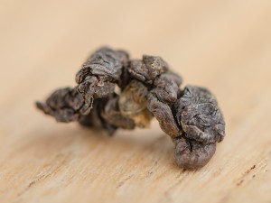 ГАБА Фермерская "А" купить в Минске, ГАБА