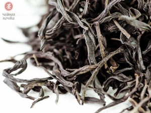 Цзю До Цзы Дань Цун "ААА" (Одинокие Кусты с Острозубчатыми листьями) купить в Минске, Гуандунский