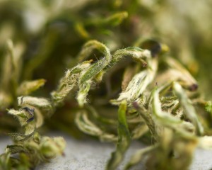 Мэн Дин Гань Лу (Сладкая Роса из Мэн Дин), Сычуань, весна 2026 г. купить в Минске, Зеленый чай