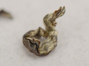 Моли Битань Пяо Сюэ "ААА" (Кружащийся Жасминовый Снег) купить в Минске, Зеленый чай