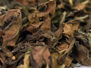 Лао Шоу Мэй Органик (Брови Старца) "А", из Фудина, 2021г. купить в Минске, Белый чай