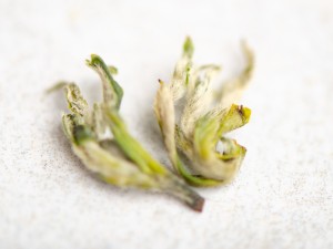 Ми Я Сучжоу Би Ло Чунь "ААА", весна 2026г. купить в Минске, Зеленый чай