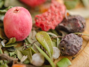 Чайный напиток "Ягодный чай Венеры" купить в Минске, Травяной чай