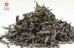Цзинь Бьен Ци Лань "ААА" (Чудесная Орхидея), Уишаньский