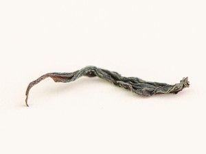 Уи Шань Е Шен Хун Ча "АА" (Дикий Красный из Уишани), весна 2025 г. купить в Минске, Красный чай