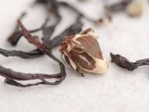 Су Ху Шай Хун с Айвой "АА", 2025г. купить в Минске, Красный чай