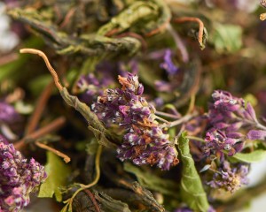 Алтайский травяной сбор "Цветочный сон" купить в Минске, Иван-чай