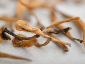 Дянь Хун Да Цзинь Я "ААА" (Большая Золотая Почка), 2025г. купить в Минске, Красный чай