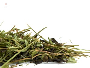 Алтайский травяной сбор "Кедровый" купить в Минске, Иван-чай