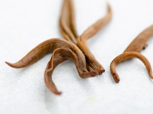 Дянь Хун Цзинь Ло "ААА" 2025 г. купить в Минске, Красный чай